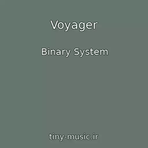 کاور آهنگ Voyager از Binary System