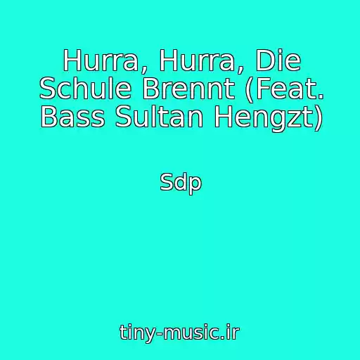 کاور آهنگ Hurra, Hurra, Die Schule Brennt (Feat. Bass Sultan Hengzt) از Sdp