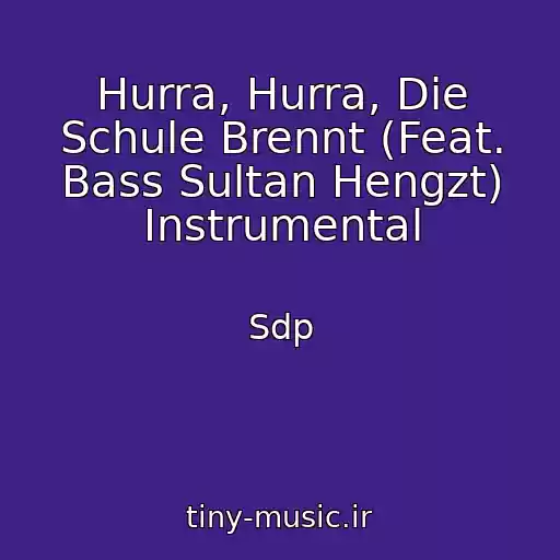 کاور آهنگ Hurra, Hurra, Die Schule Brennt (Feat. Bass Sultan Hengzt) Instrumental از Sdp