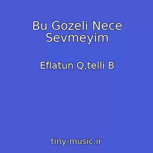 کاور آهنگ Bu Gozeli Nece Sevmeyim از Eflatun Q,telli B