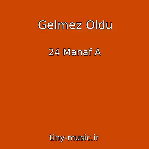 کاور آهنگ Gelmez Oldu از 24 Manaf A