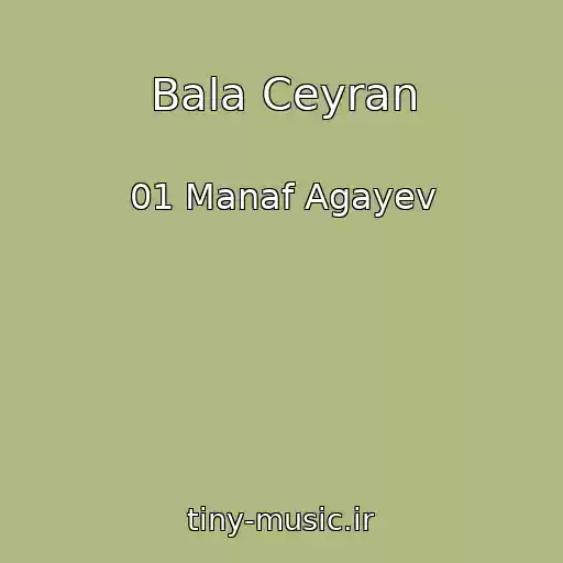 کاور آهنگ Bala Ceyran از 01 Manaf Agayev