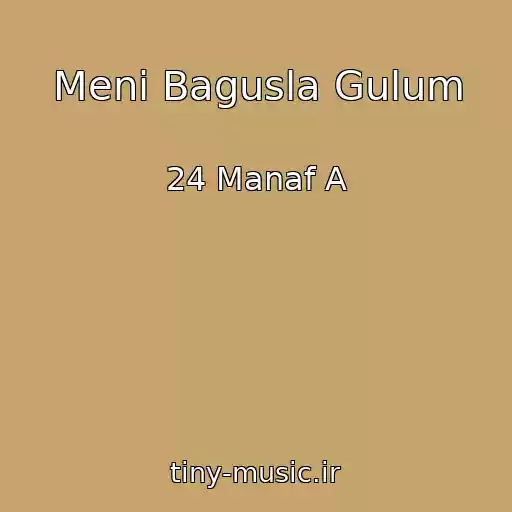 کاور آهنگ Meni Bagusla Gulum از 24 Manaf A