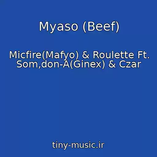 کاور آهنگ Myaso (Beef) از Micfire(Mafyo) & Roulette Ft. Som,don-A(Ginex) & Czar