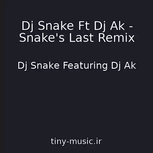 کاور آهنگ Dj Snake Ft Dj Ak - Snake's Last Remix از Dj Snake Featuring Dj Ak