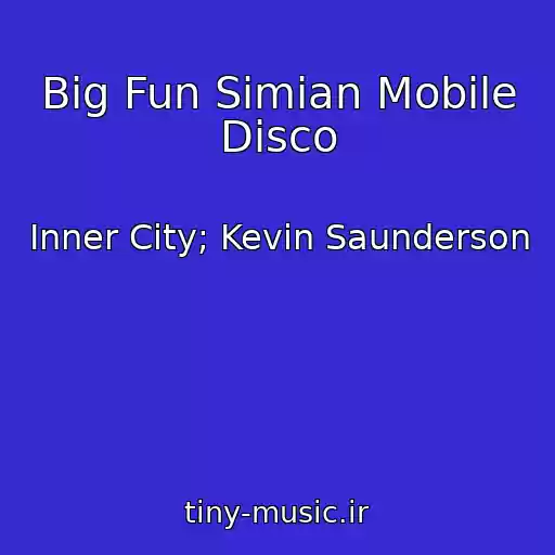 کاور آهنگ Big Fun Simian Mobile Disco از Inner City; Kevin Saunderson