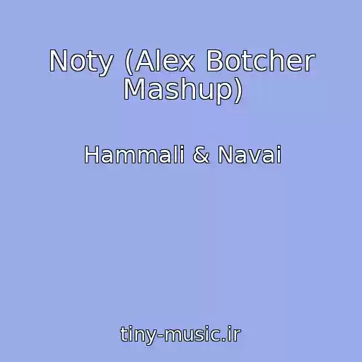 کاور آهنگ Noty (Alex Botcher Mashup) از Hammali & Navai