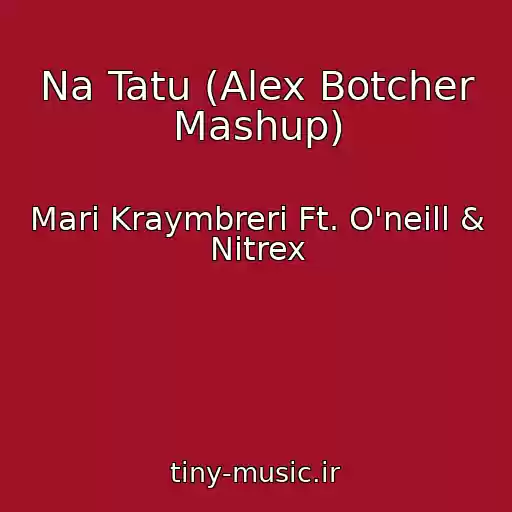 کاور آهنگ Na Tatu (Alex Botcher Mashup) از Mari Kraymbreri Ft. O'neill & Nitrex