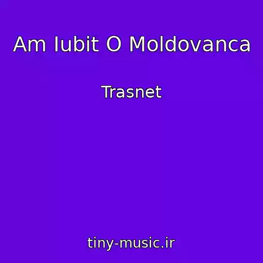کاور آهنگ Am Iubit O Moldovanca از Trasnet