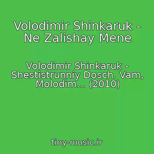 کاور آهنگ Volodimir Shinkaruk - Ne Zalishay Mene از Volodimir Shinkaruk - Shestistrunniy Dosch. Vam, Molodim... (2010)