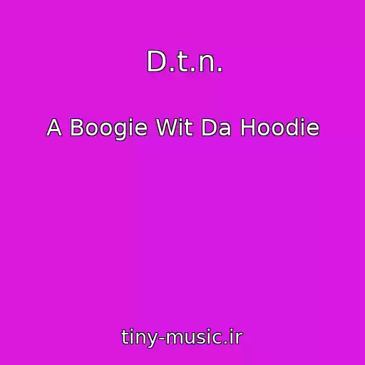 کاور آهنگ D.t.n. از A Boogie Wit Da Hoodie
