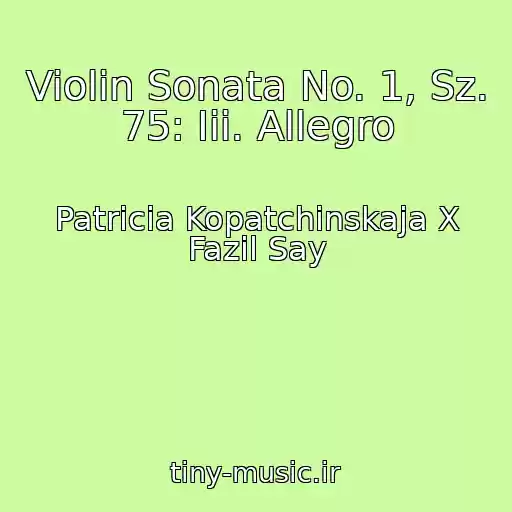 کاور آهنگ Violin Sonata No. 1, Sz. 75: Iii. Allegro از Patricia Kopatchinskaja X Fazil Say