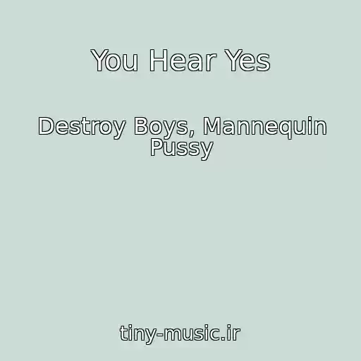 کاور آهنگ You Hear Yes از Destroy Boys, Mannequin Pussy