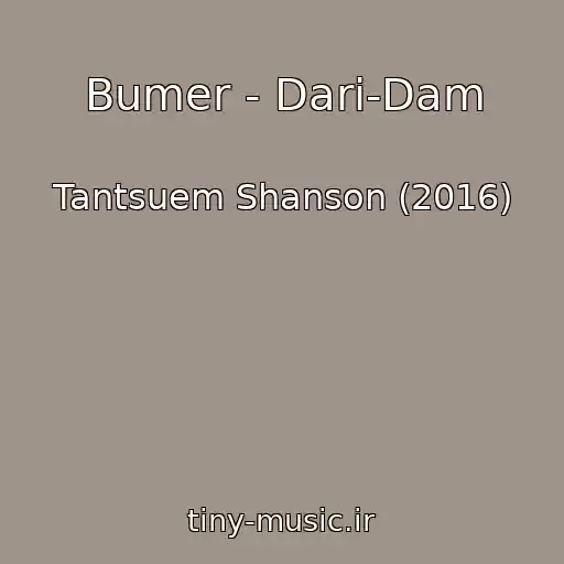 کاور آهنگ Bumer - Dari-Dam از Tantsuem Shanson (2016)