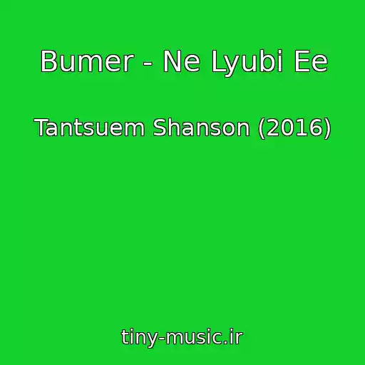 کاور آهنگ Bumer - Ne Lyubi Ee از Tantsuem Shanson (2016)