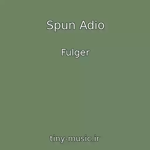 کاور آهنگ Spun Adio از Fulger