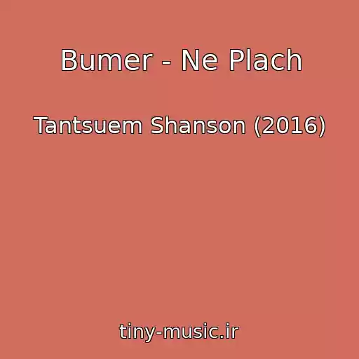 کاور آهنگ Bumer - Ne Plach از Tantsuem Shanson (2016)