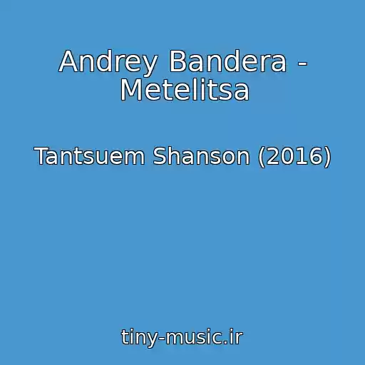 کاور آهنگ Andrey Bandera - Metelitsa از Tantsuem Shanson (2016)