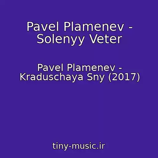 کاور آهنگ Pavel Plamenev - Solenyy Veter از Pavel Plamenev - Kraduschaya Sny (2017)
