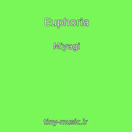 کاور آهنگ Euphoria از Miyagi