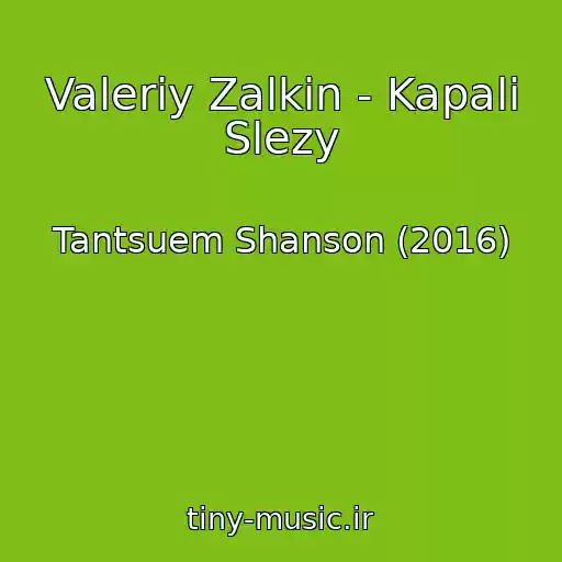 کاور آهنگ Valeriy Zalkin - Kapali Slezy از Tantsuem Shanson (2016)