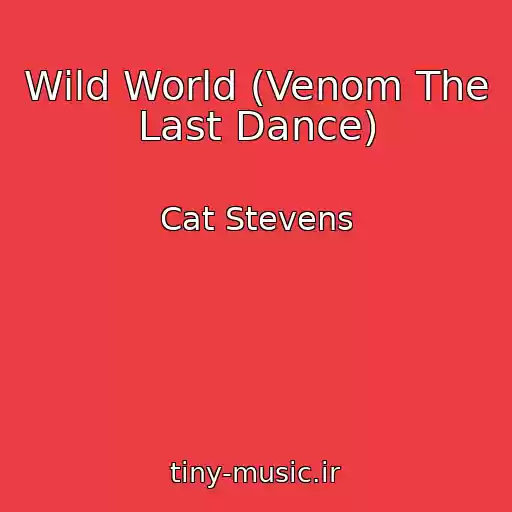 کاور آهنگ Wild World (Venom The Last Dance) از Cat Stevens