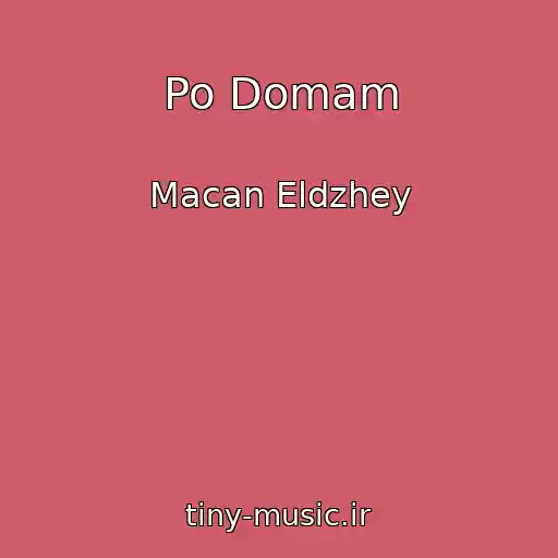کاور آهنگ Po Domam از Macan Eldzhey