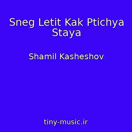 کاور آهنگ Sneg Letit Kak Ptichya Staya از Shamil Kasheshov