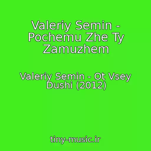 کاور آهنگ Valeriy Semin - Pochemu Zhe Ty Zamuzhem از Valeriy Semin - Ot Vsey Dushi (2012)