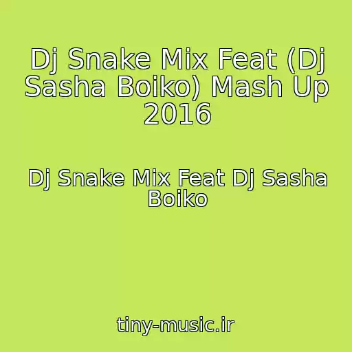 کاور آهنگ Dj Snake Mix Feat (Dj Sasha Boiko) Mash Up 2016 از Dj Snake Mix Feat Dj Sasha Boiko