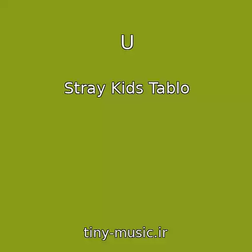 کاور آهنگ U از Stray Kids Tablo