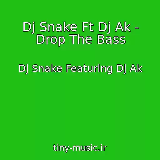 کاور آهنگ Dj Snake Ft Dj Ak - Drop The Bass از Dj Snake Featuring Dj Ak