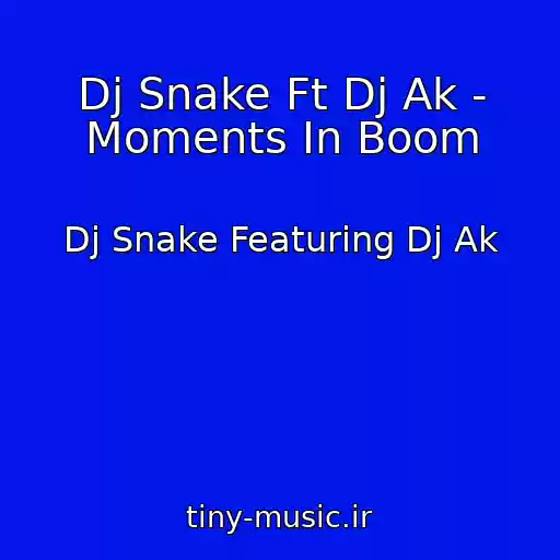 کاور آهنگ Dj Snake Ft Dj Ak - Moments In Boom از Dj Snake Featuring Dj Ak