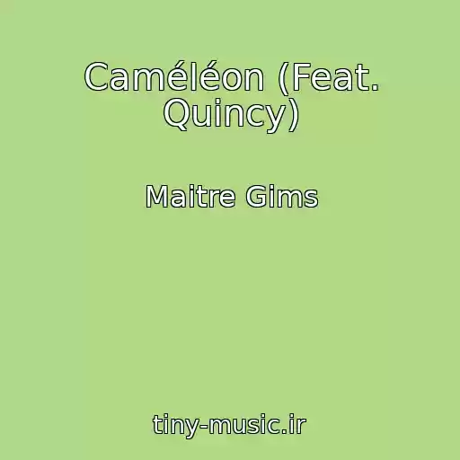 کاور آهنگ Caméléon (Feat. Quincy) از Maitre Gims