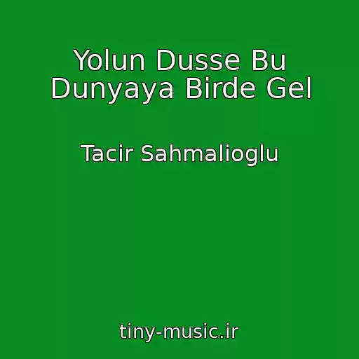 کاور آهنگ Yolun Dusse Bu Dunyaya Birde Gel از Tacir Sahmalioglu