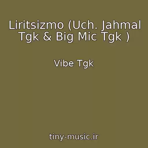 کاور آهنگ Liritsizmo (Uch. Jahmal Tgk & Big Mic Tgk ) از Vibe Tgk