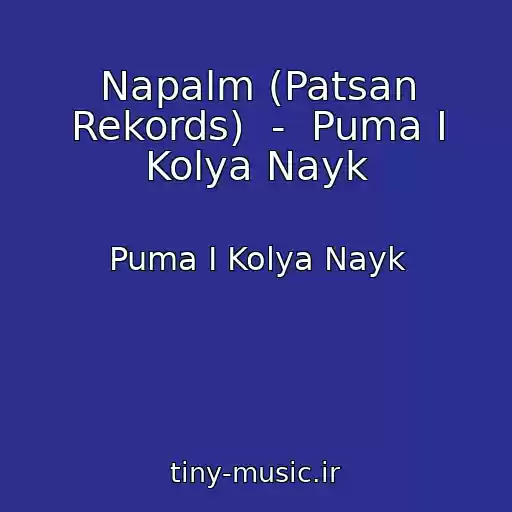 کاور آهنگ Napalm (Patsan Rekords)  -  Puma I Kolya Nayk از Puma I Kolya Nayk