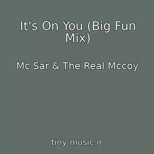 کاور آهنگ It's On You (Big Fun Mix) از Mc Sar & The Real Mccoy