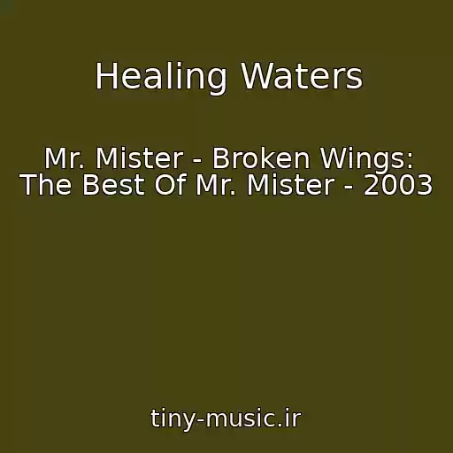 کاور آهنگ Healing Waters از Mr. Mister - Broken Wings: The Best Of Mr. Mister - 2003