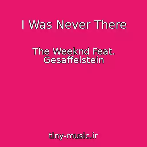 کاور آهنگ I Was Never There از The Weeknd Feat. Gesaffelstein