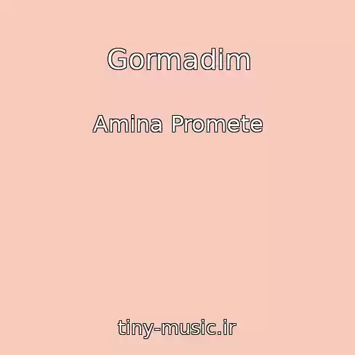 کاور آهنگ Gormadim از Amina Promete