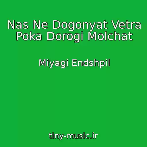 کاور آهنگ Nas Ne Dogonyat Vetra Poka Dorogi Molchat از Miyagi Endshpil