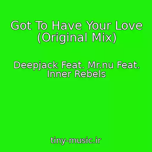کاور آهنگ Got To Have Your Love (Original Mix) از Deepjack Feat. Mr.nu Feat. Inner Rebels