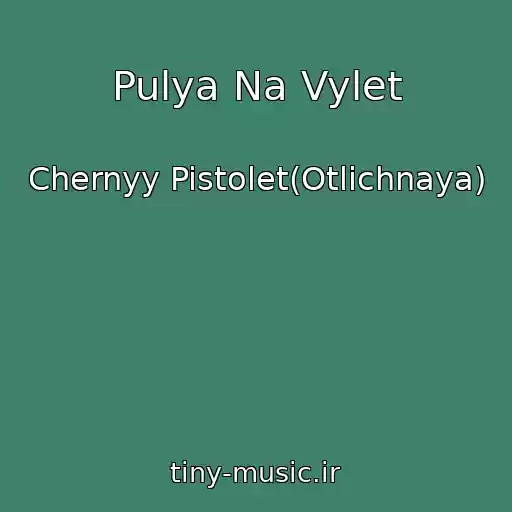 کاور آهنگ Pulya Na Vylet از Chernyy Pistolet(Otlichnaya)