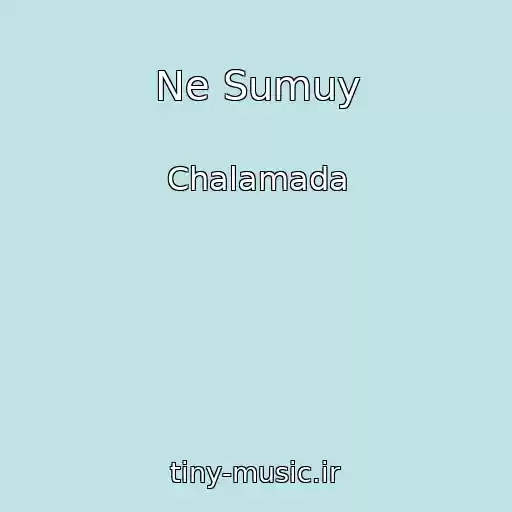 کاور آهنگ Ne Sumuy از Chalamada