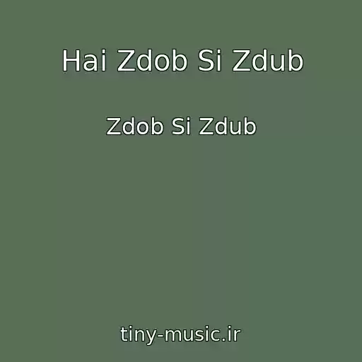 کاور آهنگ Hai Zdob Si Zdub از Zdob Si Zdub
