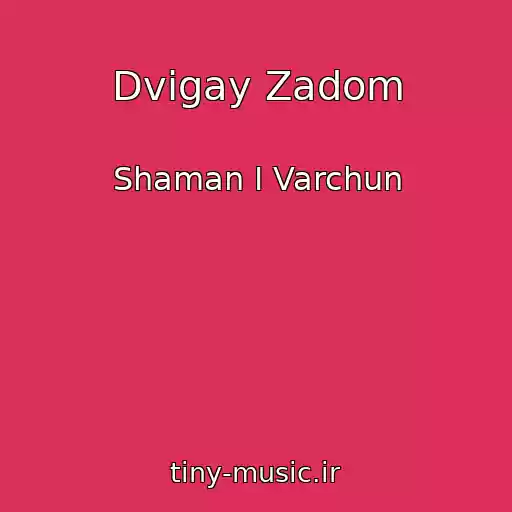 کاور آهنگ Dvigay Zadom از Shaman I Varchun