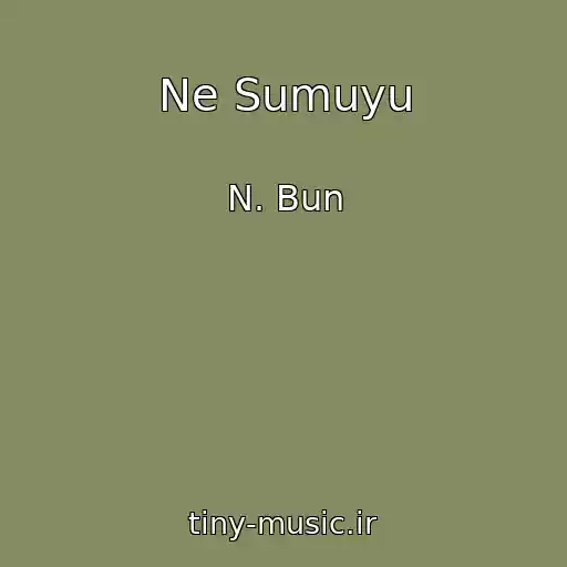 کاور آهنگ Ne Sumuyu از N. Bun
