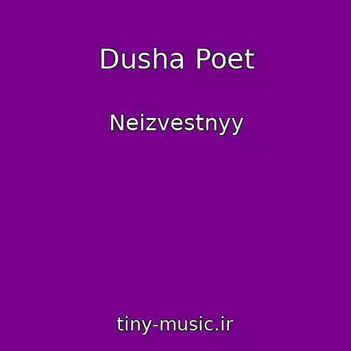 کاور آهنگ Dusha Poet از Neizvestnyy