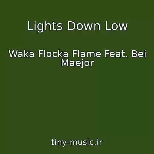 کاور آهنگ Lights Down Low از Waka Flocka Flame Feat. Bei Maejor